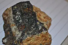 clipper_mine (12).jpg