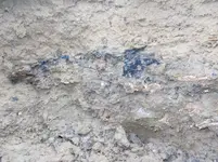 DSCN5449.webp