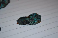 clipper_mine (10).webp
