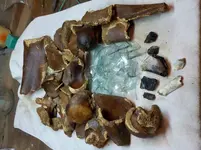 DSCN5457.webp