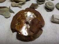 DSCN5454.webp