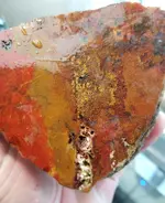 20181222_065626.webp