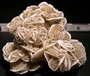9e091c54ab0e14e9c72dcbb0b654b0a1--desert-rose-crystals-minerals.webp
