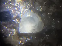 20181110_003129.webp