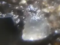 20181110_003154.webp