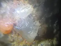 20181110_003331.webp