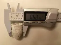 69 Cal 5.webp