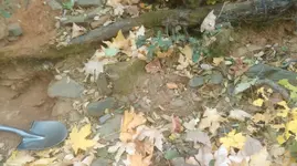 IMAG0870.webp