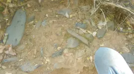 IMAG0874.webp IMAG0874.webp