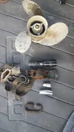 20181120_153137.webp