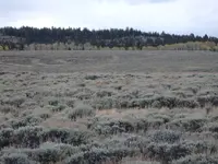 PA010391.webp