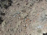 PA020394.webp