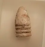 20181110_124335.webp