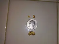 new years gold 2019.webp