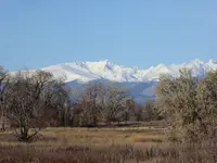 walk 111018 1.webp