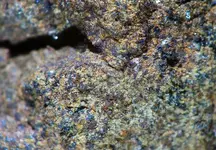 DSCF38681.webp