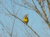 walk 111018 2.webp