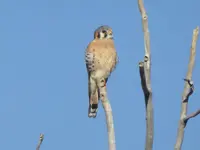 walk 111018 3.webp