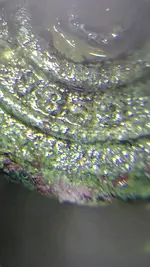2018-12-13-20-21-08.webp