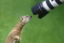 1250169408_2930e84176_o.webp