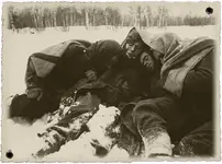 frozen soldat.webp