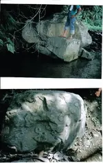 the rocks.webp