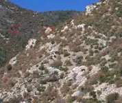Tom\'s Hike 005.webp