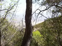 Tom\'s Hike 017.webp