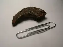 MetalClawScale.webp