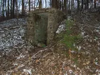 DSCF0139.webp