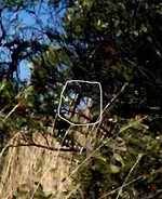 100_0321.webp