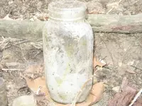 bottles2.webp