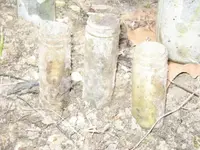 bottles4.webp