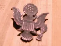 JOHNS DETECTING PICS 026.webp