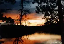 sunset.webp