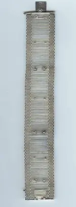 sil brac.webp