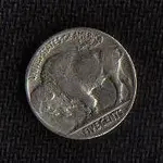BUFFALO1a.webp