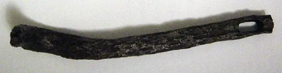 DSC01061.webp