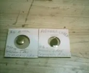 buttonncharm001.webp