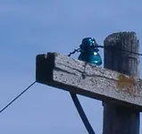 insulators 008.webp