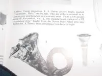 crouch book edited.webp