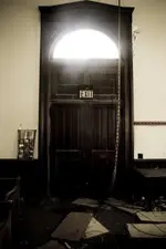 fin4.webp