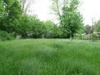 Backyard.webp