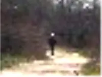 Not Alone 2.webp