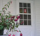 P5270001-Changed.webp