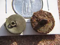 oldbuttons 002.webp