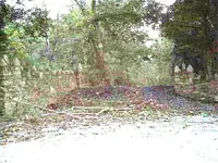 Brua2.webp
