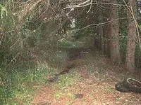 driveway.webp