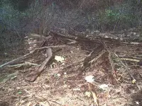 Front porch remnants.webp