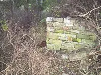 The basement steps.webp